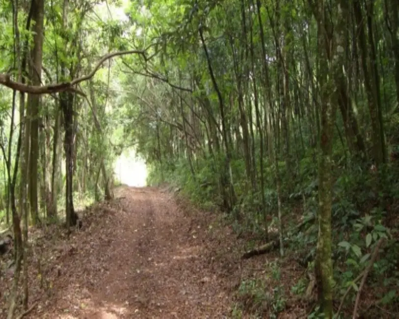 Terreno / Lote à venda em Nova Petropolis - RS - imagem 5 Foto 5 de Terreno / Lote à venda em Nova Petropolis - RS