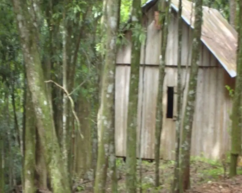Terreno / Lote à venda em Nova Petropolis - RS - imagem 2 Foto 2 de Terreno / Lote à venda em Nova Petropolis - RS
