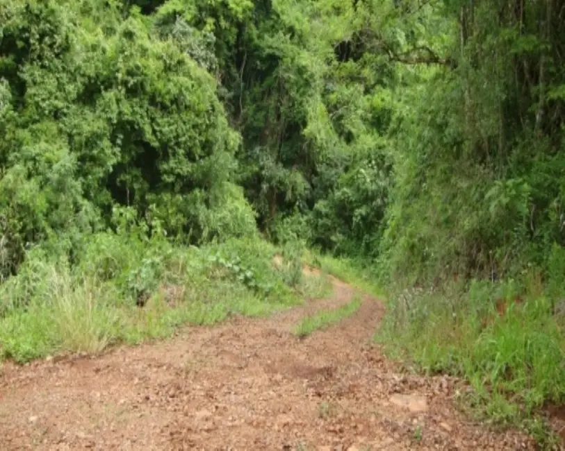 Terreno / Lote à venda em Nova Petropolis - RS - imagem 9 Foto 9 de Terreno / Lote à venda em Nova Petropolis - RS