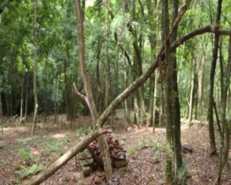 Terreno / Lote à venda em Nova Petropolis - RS - imagem 6 Foto 6 de Terreno / Lote à venda em Nova Petropolis - RS