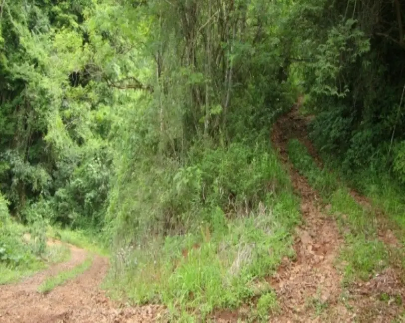 Terreno / Lote à venda em Nova Petropolis - RS - imagem 8 Foto 8 de Terreno / Lote à venda em Nova Petropolis - RS