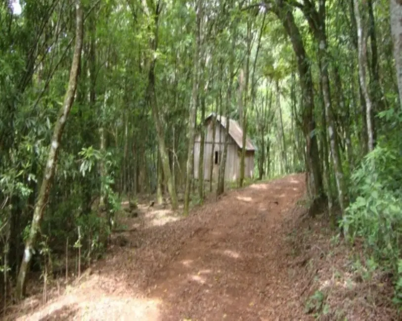 Terreno / Lote à venda em Nova Petropolis - RS - imagem 1 Foto 1 de Terreno / Lote à venda em Nova Petropolis - RS