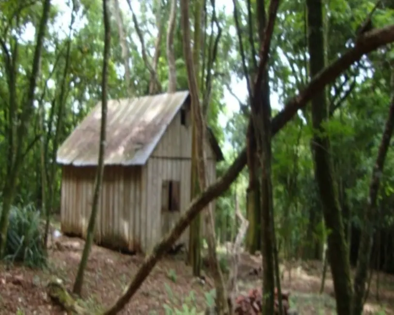 Terreno / Lote à venda em Nova Petropolis - RS - imagem 7 Foto 7 de Terreno / Lote à venda em Nova Petropolis - RS