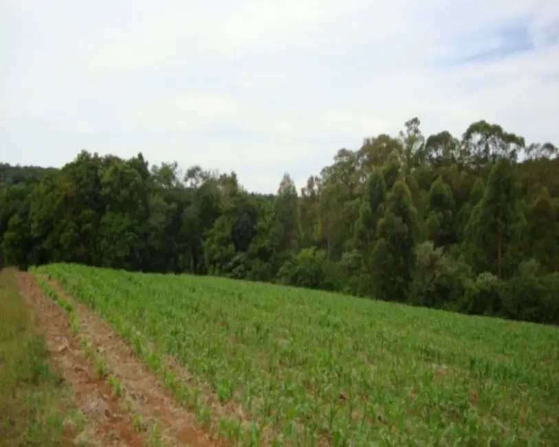 Terreno / Lote à venda, 12m2 em Nova Petropolis - RS - imagem 4 Foto 4 de Terreno / Lote à venda, 12m2 em Nova Petropolis - RS