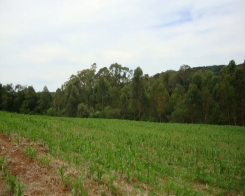 Terreno / Lote à venda, 12m2 em Nova Petropolis - RS - imagem 3 Foto 3 de Terreno / Lote à venda, 12m2 em Nova Petropolis - RS