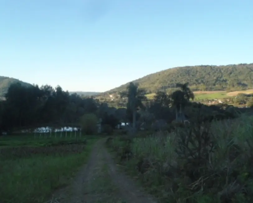 Foto 1 de Sítio / Rancho com 5 quartos à venda, 100m2 em Nova Petropolis - RS
