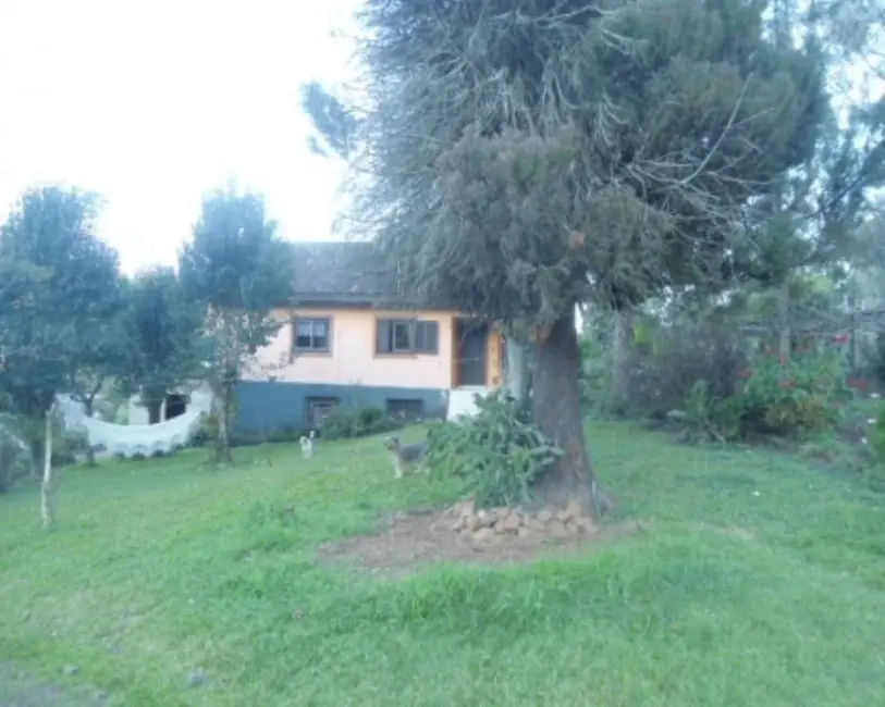 Foto 2 de Sítio / Rancho com 5 quartos à venda, 100m2 em Nova Petropolis - RS