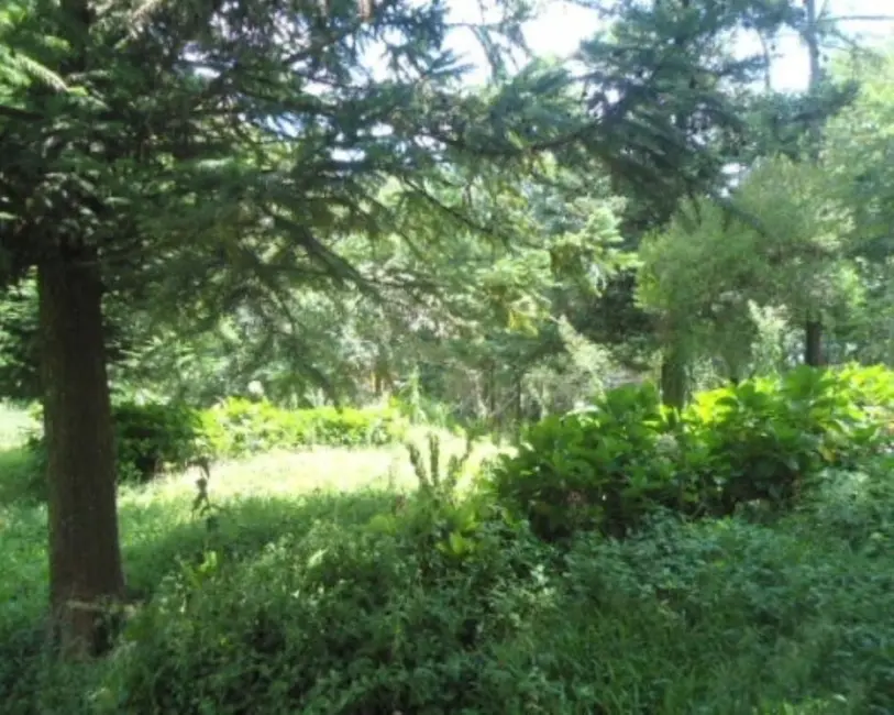 Casa com 2 quartos à venda, 100m2 em Nova Petropolis - RS - imagem 5 Foto 5 de Casa com 2 quartos à venda, 100m2 em Nova Petropolis - RS