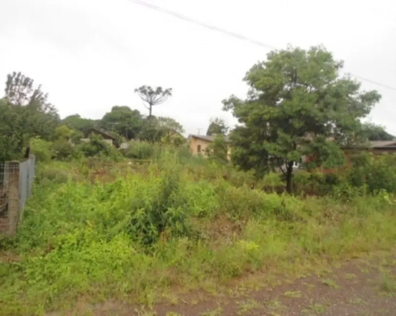 Foto 1 de Terreno / Lote à venda, 600m2 em Nova Petropolis - RS