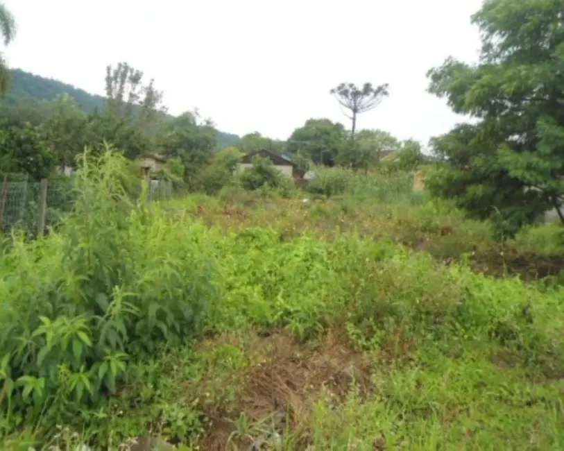 Foto 2 de Terreno / Lote à venda, 600m2 em Nova Petropolis - RS