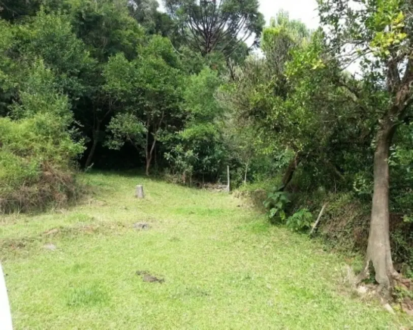Foto 2 de Terreno / Lote à venda, 31m2 em Gramado - RS
