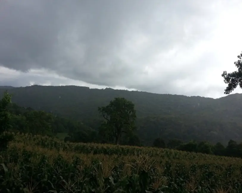 Foto 1 de Terreno / Lote à venda, 31m2 em Gramado - RS