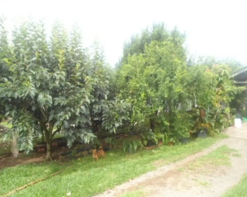 Casa com 3 quartos à venda, 143m2 em Nova Petropolis - RS - imagem 6 Foto 6 de Casa com 3 quartos à venda, 143m2 em Nova Petropolis - RS