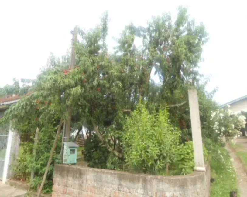 Casa com 3 quartos à venda, 143m2 em Nova Petropolis - RS - imagem 8 Foto 8 de Casa com 3 quartos à venda, 143m2 em Nova Petropolis - RS