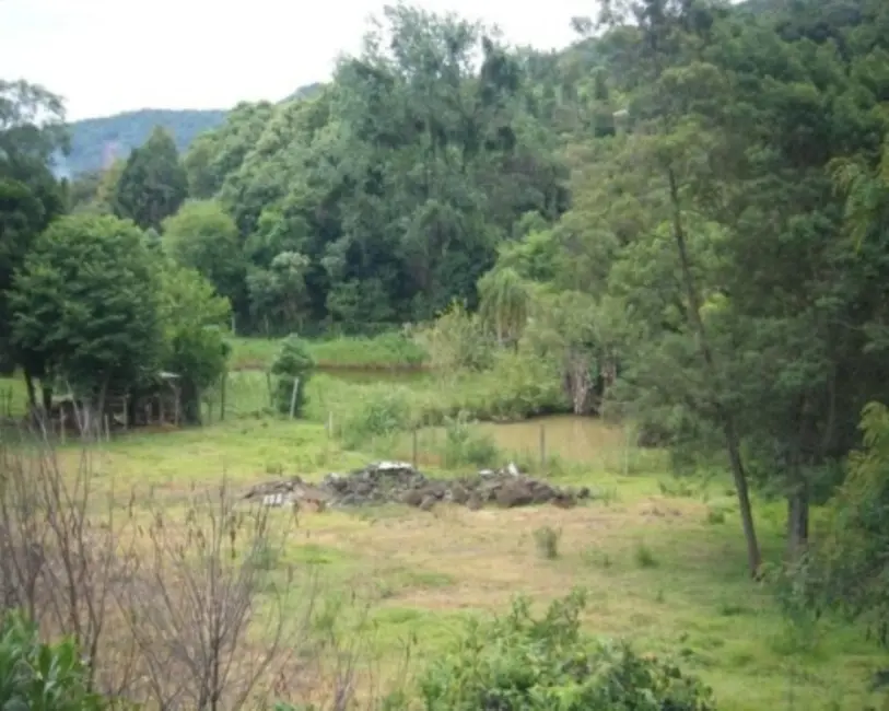 Terreno / Lote à venda, 6468m2 em Nova Petropolis - RS - imagem 7 Foto 7 de Terreno / Lote à venda, 6468m2 em Nova Petropolis - RS