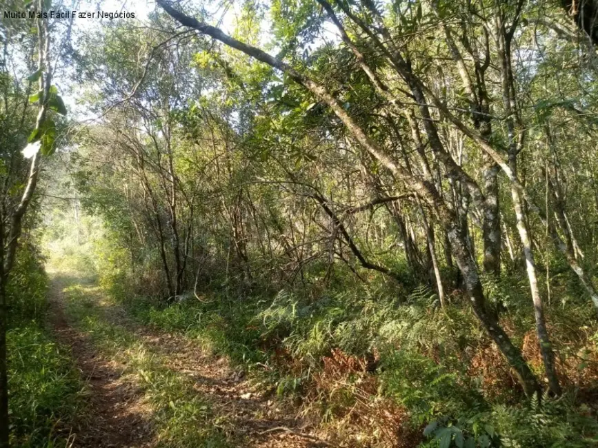 Terreno / Lote à venda, 21m2 em Nova Petropolis - RS - imagem 1 Foto 1 de Terreno / Lote à venda, 21m2 em Nova Petropolis - RS