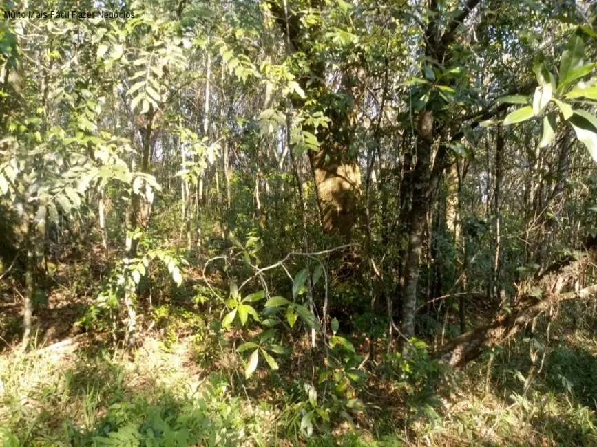 Terreno / Lote à venda, 21m2 em Nova Petropolis - RS - imagem 3 Foto 3 de Terreno / Lote à venda, 21m2 em Nova Petropolis - RS