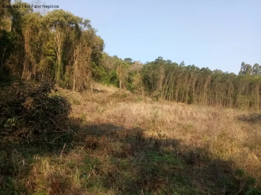 Terreno / Lote à venda, 21m2 em Nova Petropolis - RS - imagem 8 Foto 8 de Terreno / Lote à venda, 21m2 em Nova Petropolis - RS