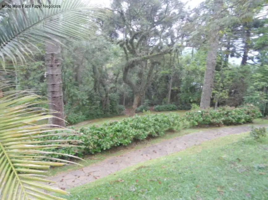 Terreno / Lote à venda em Nova Petropolis - RS - imagem 8 Foto 8 de Terreno / Lote à venda em Nova Petropolis - RS
