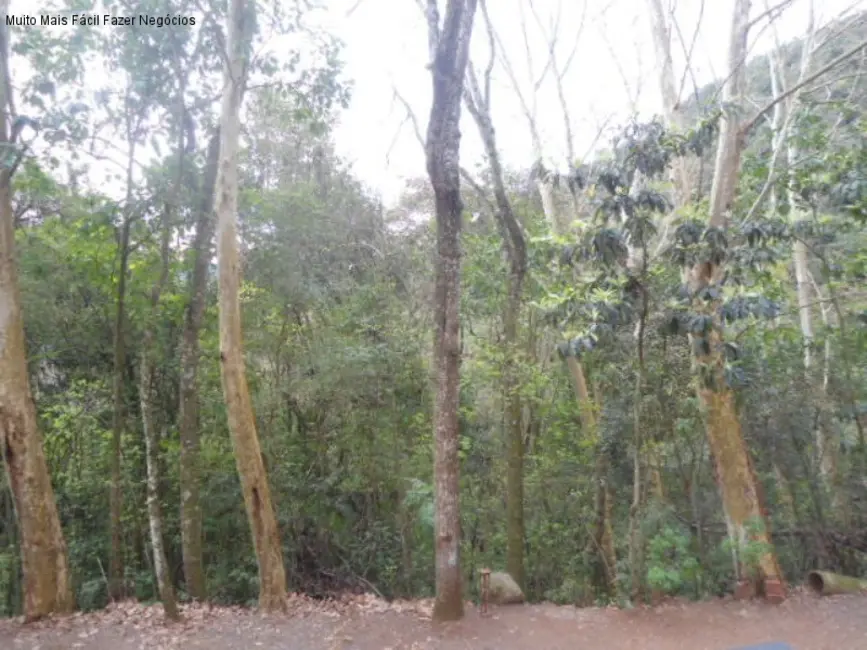 Terreno / Lote à venda em Nova Petropolis - RS - imagem 9 Foto 9 de Terreno / Lote à venda em Nova Petropolis - RS