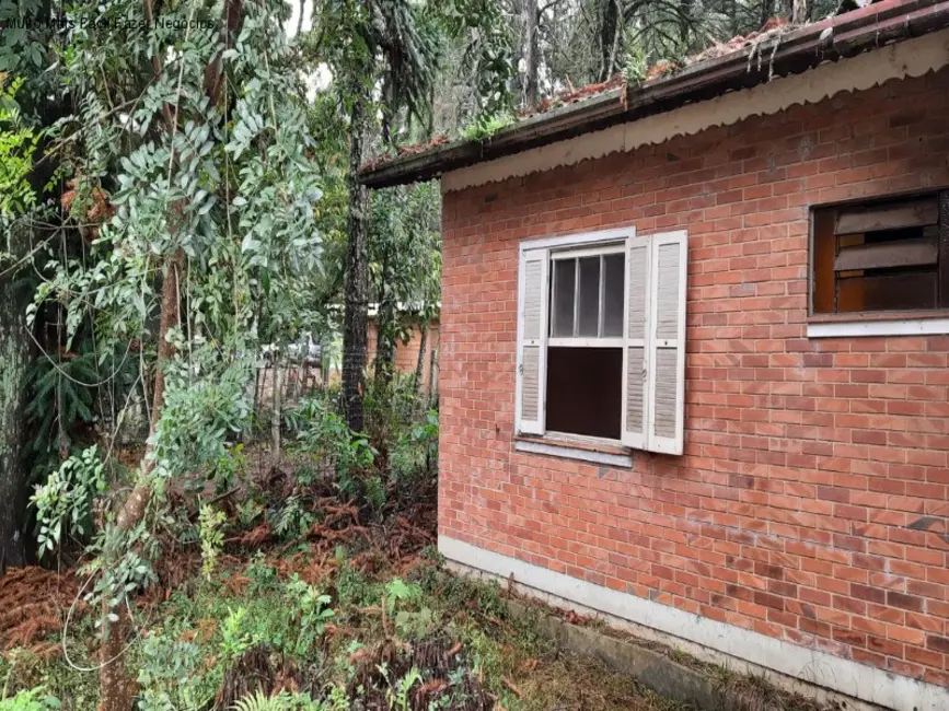 Foto 3 de Casa com 3 quartos à venda, 84m2 em Nova Petropolis - RS