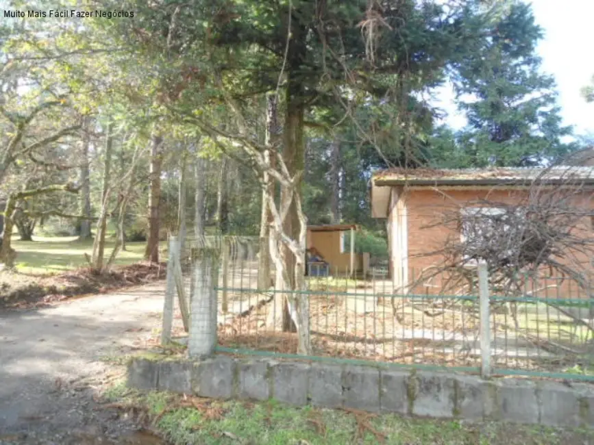 Foto 2 de Casa com 3 quartos à venda, 84m2 em Nova Petropolis - RS