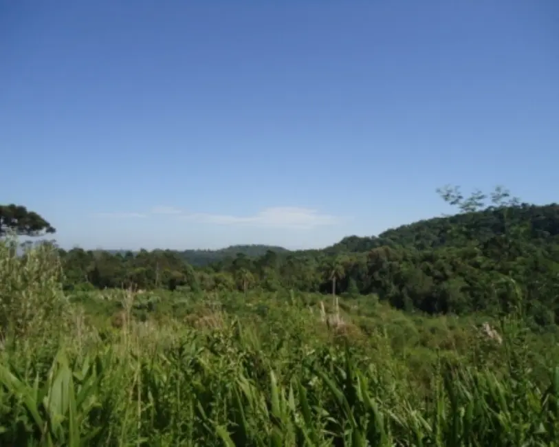 Terreno / Lote à venda em Nova Petropolis - RS - imagem 5 Foto 5 de Terreno / Lote à venda em Nova Petropolis - RS