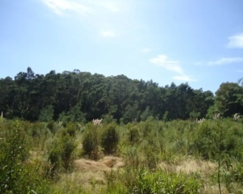 Terreno / Lote à venda em Nova Petropolis - RS - imagem 3 Foto 3 de Terreno / Lote à venda em Nova Petropolis - RS