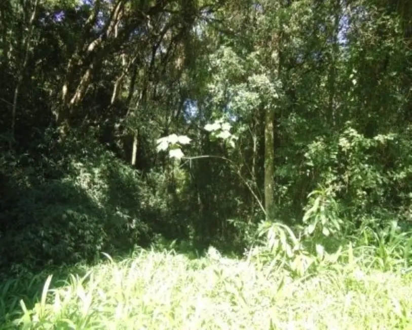 Terreno / Lote à venda em Nova Petropolis - RS - imagem 7 Foto 7 de Terreno / Lote à venda em Nova Petropolis - RS