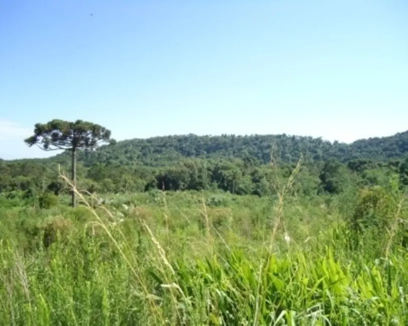 Terreno / Lote à venda em Nova Petropolis - RS - imagem 6 Foto 6 de Terreno / Lote à venda em Nova Petropolis - RS
