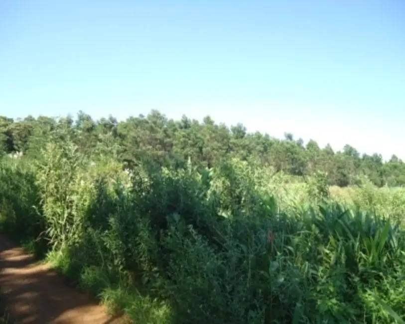 Terreno / Lote à venda em Nova Petropolis - RS - imagem 2 Foto 2 de Terreno / Lote à venda em Nova Petropolis - RS