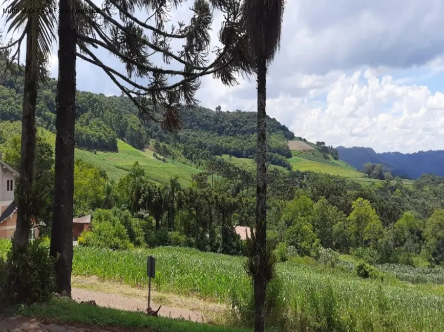 Foto 5 de Sítio / Rancho com 3 quartos à venda, 142m2 em Nova Petropolis - RS