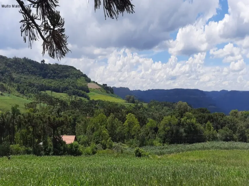Foto 7 de Sítio / Rancho com 3 quartos à venda, 142m2 em Nova Petropolis - RS