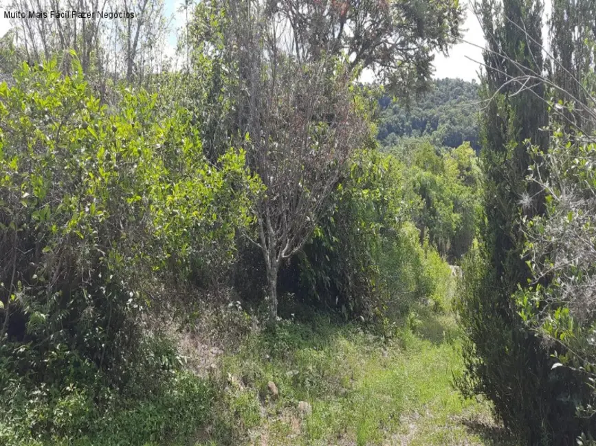 Foto 9 de Sítio / Rancho com 3 quartos à venda, 142m2 em Nova Petropolis - RS