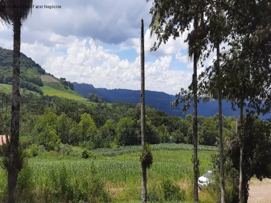 Foto 4 de Sítio / Rancho com 3 quartos à venda, 142m2 em Nova Petropolis - RS