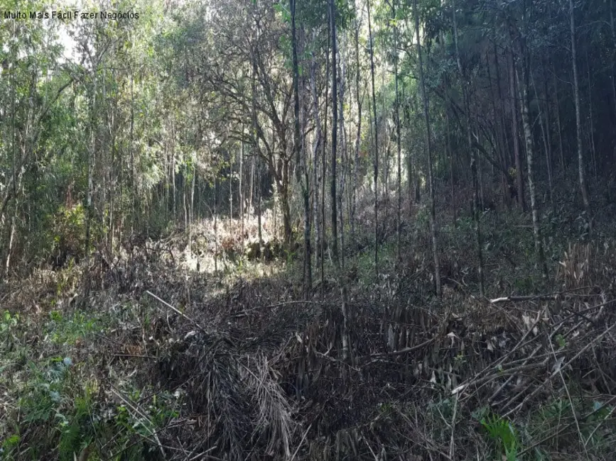 Foto 4 de Terreno / Lote à venda em Gramado - RS