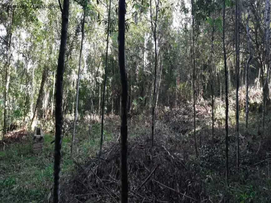Foto 3 de Terreno / Lote à venda em Gramado - RS
