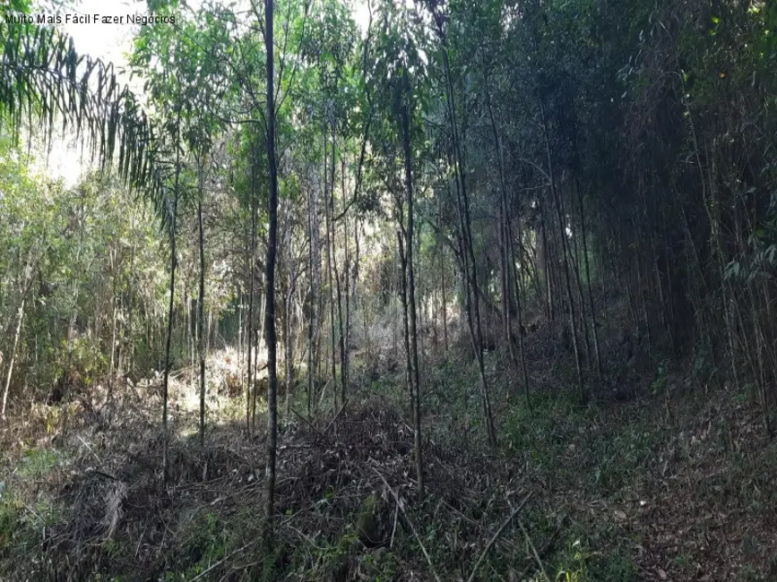 Foto 5 de Terreno / Lote à venda em Gramado - RS