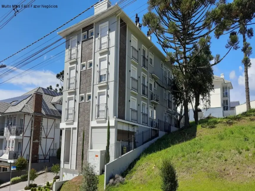 Foto 2 de Apartamento com 1 quarto à venda e para alugar, 41m2 em Nova Petropolis - RS
