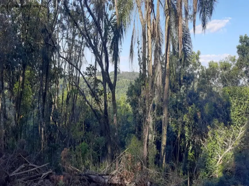 Terreno / Lote à venda, 13824m2 em Nova Petropolis - RS - imagem 7 Foto 7 de Terreno / Lote à venda, 13824m2 em Nova Petropolis - RS