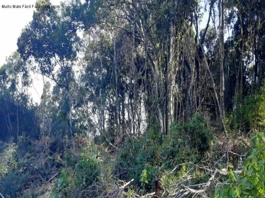 Terreno / Lote à venda, 13824m2 em Nova Petropolis - RS - imagem 6 Foto 6 de Terreno / Lote à venda, 13824m2 em Nova Petropolis - RS