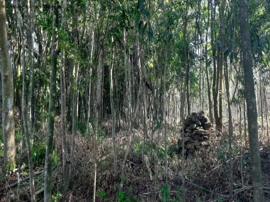 Terreno / Lote à venda, 13824m2 em Nova Petropolis - RS - imagem 9 Foto 9 de Terreno / Lote à venda, 13824m2 em Nova Petropolis - RS