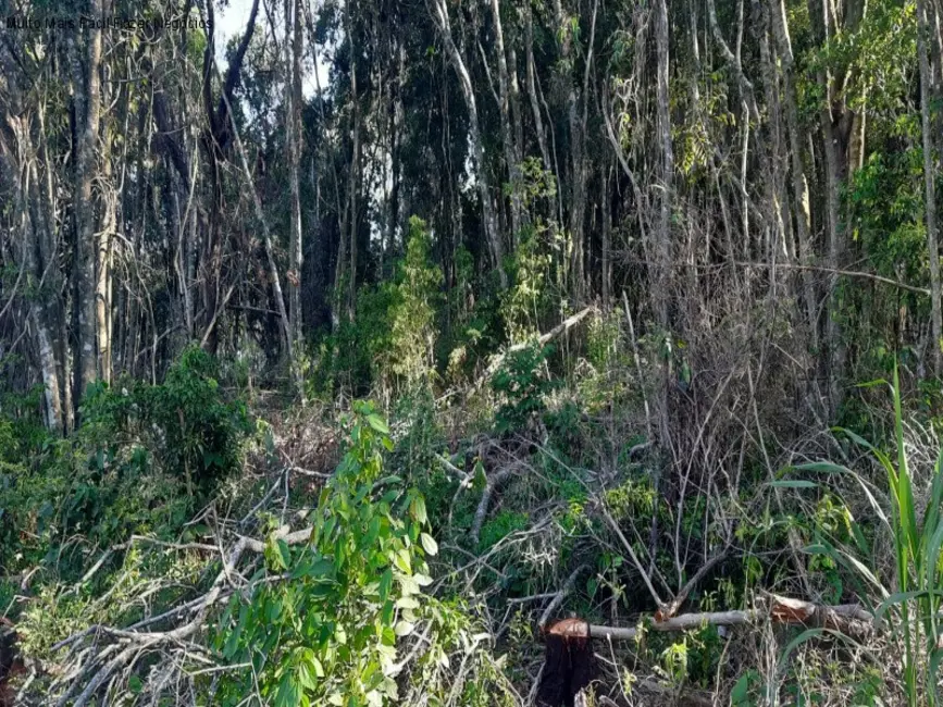 Terreno / Lote à venda, 13824m2 em Nova Petropolis - RS - imagem 5 Foto 5 de Terreno / Lote à venda, 13824m2 em Nova Petropolis - RS