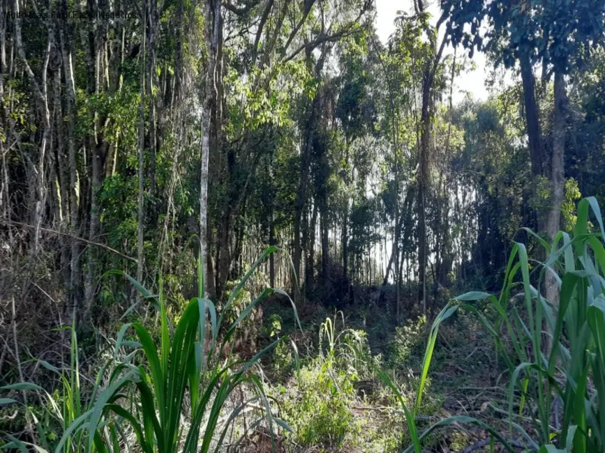 Terreno / Lote à venda, 13824m2 em Nova Petropolis - RS - imagem 4 Foto 4 de Terreno / Lote à venda, 13824m2 em Nova Petropolis - RS