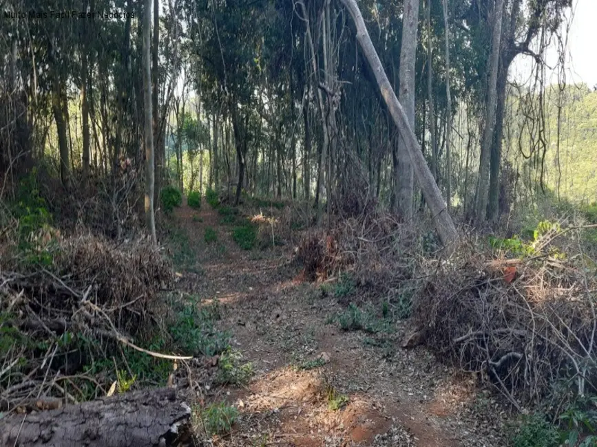 Terreno / Lote à venda, 13824m2 em Nova Petropolis - RS - imagem 8 Foto 8 de Terreno / Lote à venda, 13824m2 em Nova Petropolis - RS