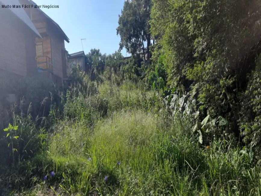 Foto 2 de Terreno / Lote à venda, 420m2 em Nova Petropolis - RS