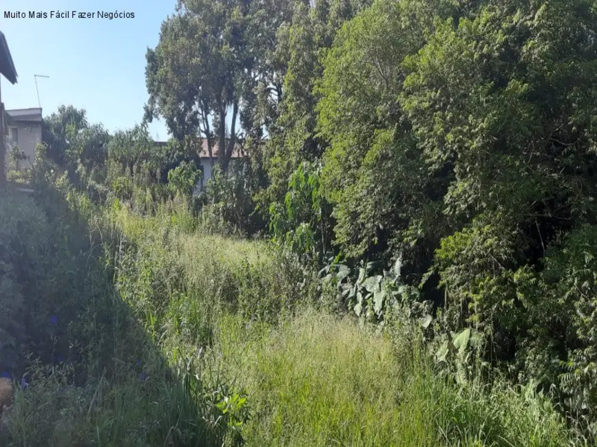 Foto 4 de Terreno / Lote à venda, 420m2 em Nova Petropolis - RS