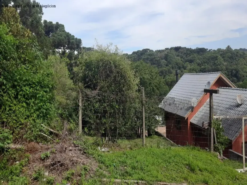 Foto 5 de Terreno / Lote à venda, 412m2 em Nova Petropolis - RS