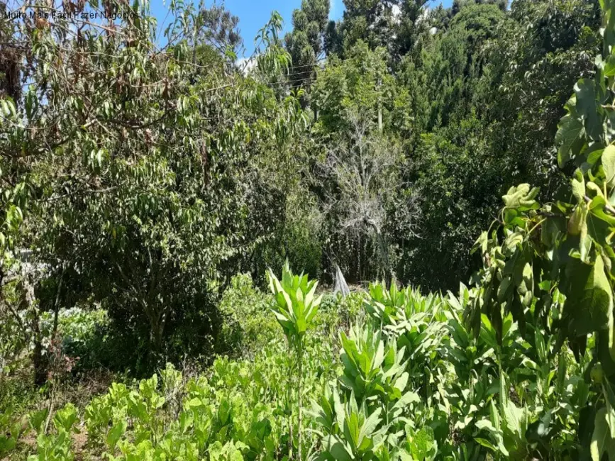 Terreno / Lote à venda, 1845m2 em Nova Petropolis - RS - imagem 4 Foto 4 de Terreno / Lote à venda, 1845m2 em Nova Petropolis - RS