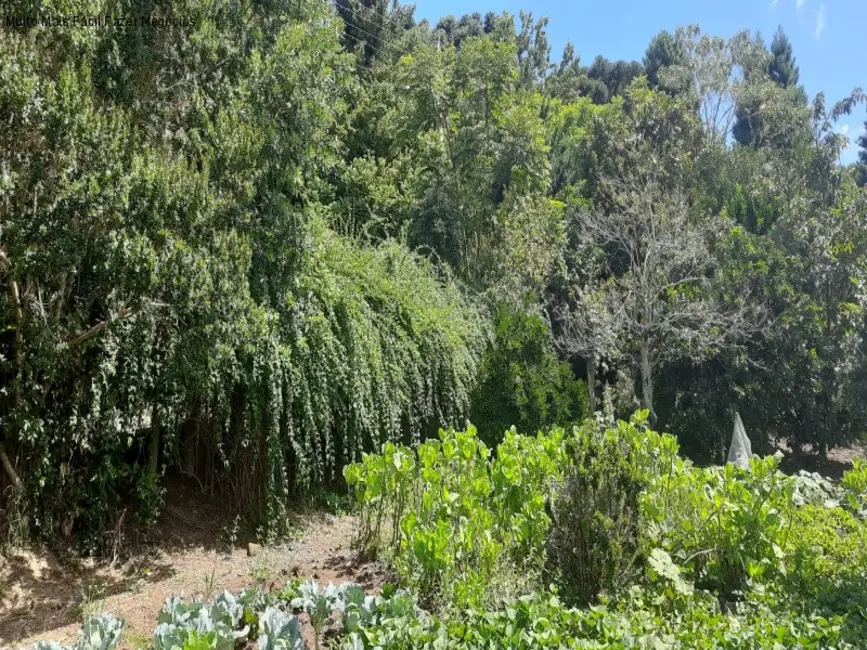 Terreno / Lote à venda, 1845m2 em Nova Petropolis - RS - imagem 6 Foto 6 de Terreno / Lote à venda, 1845m2 em Nova Petropolis - RS
